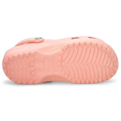 Classic Fresh Fruits Women