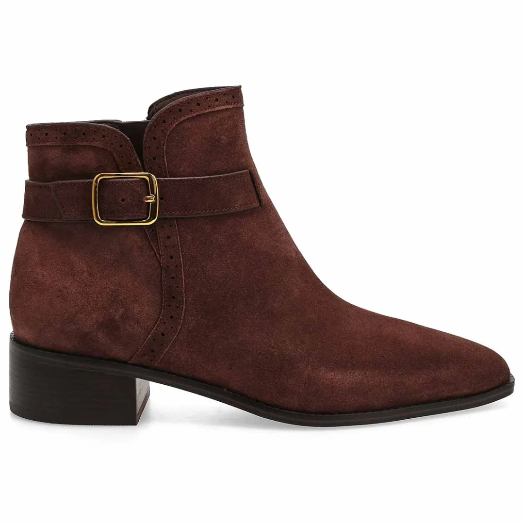 Norella Women