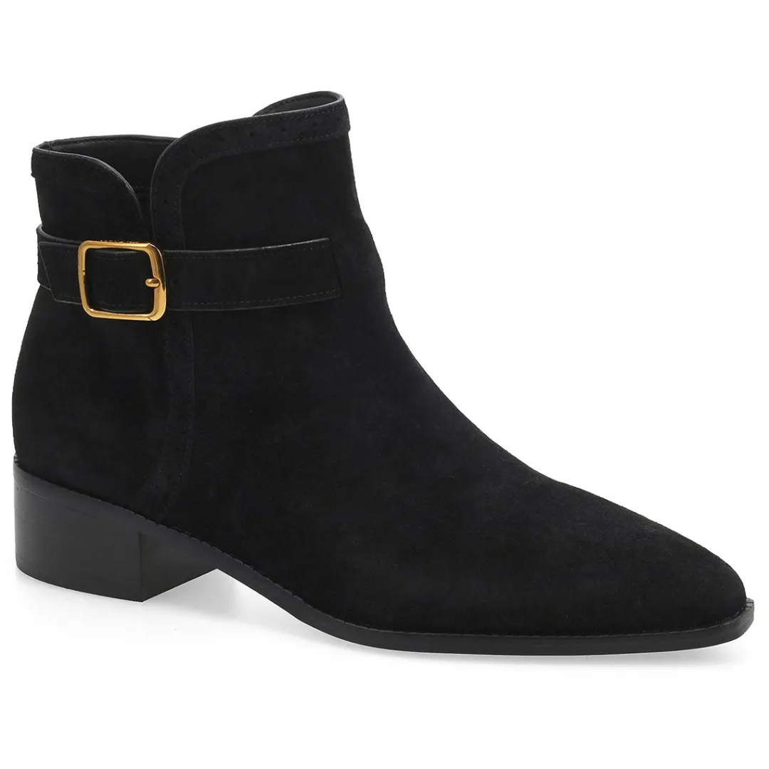 Norella Women