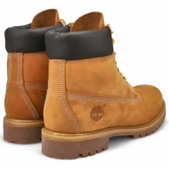 Premium 6-Inch Wide Men